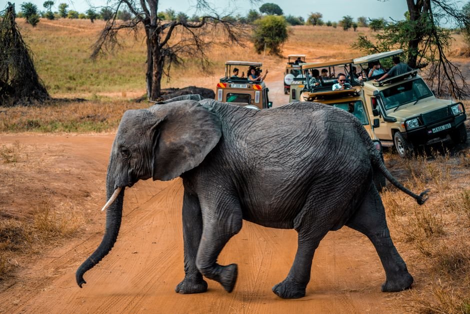 What to Pack for African Safari Tours