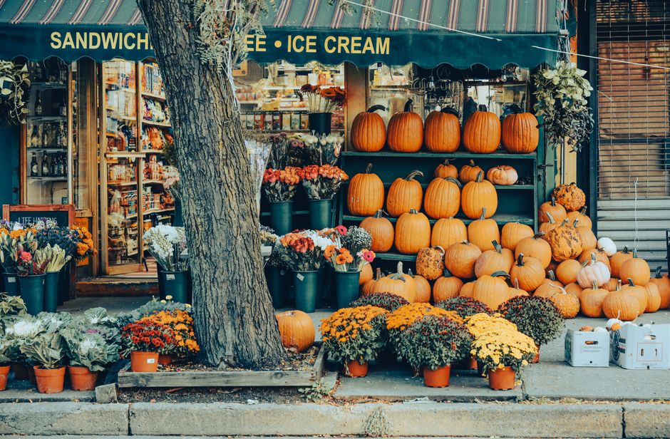 Things to do in canton new york — Dive into Local Culture