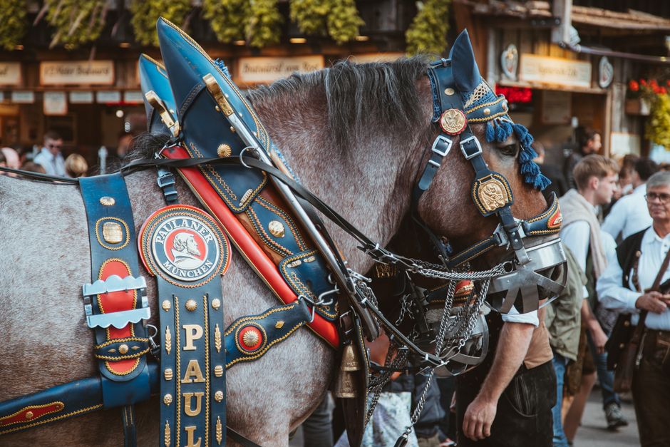What to Wear in Bavaria — Understanding Traditional Bavarian Clothing