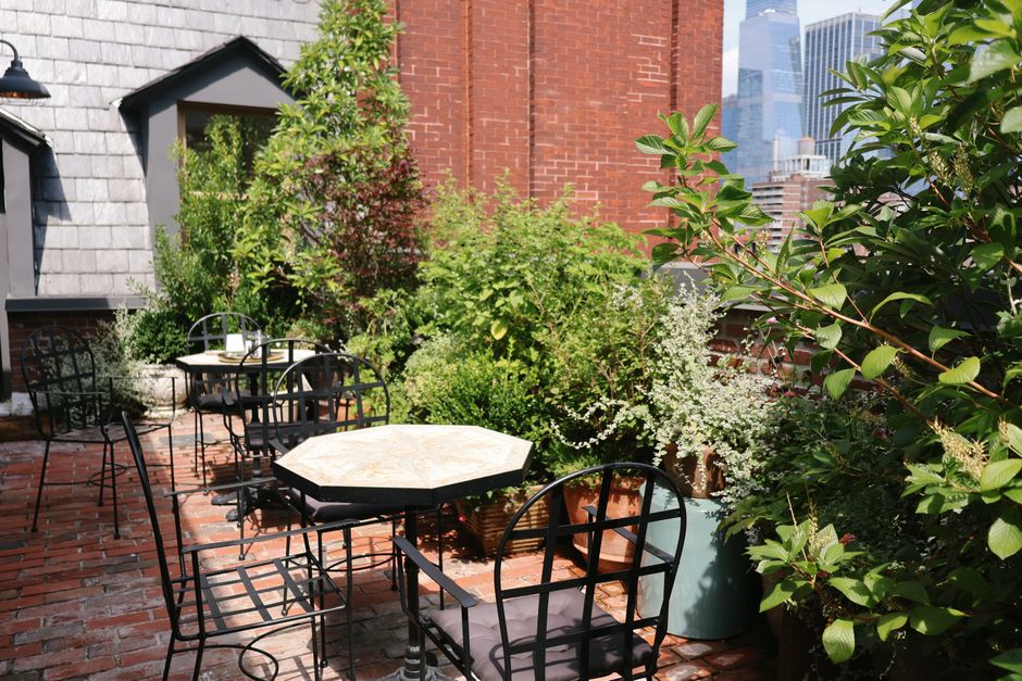 Relaxing things to do in new york city — Tranquil Retreats in Central Park
