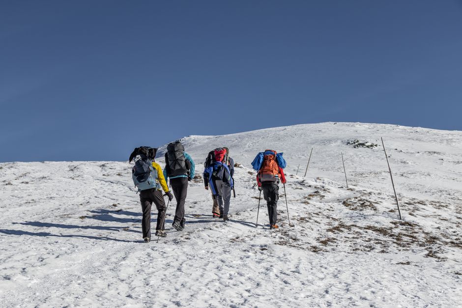 How to attach trekking pole to backpack — Types of Trekking Poles and Their Attachment Mechanisms