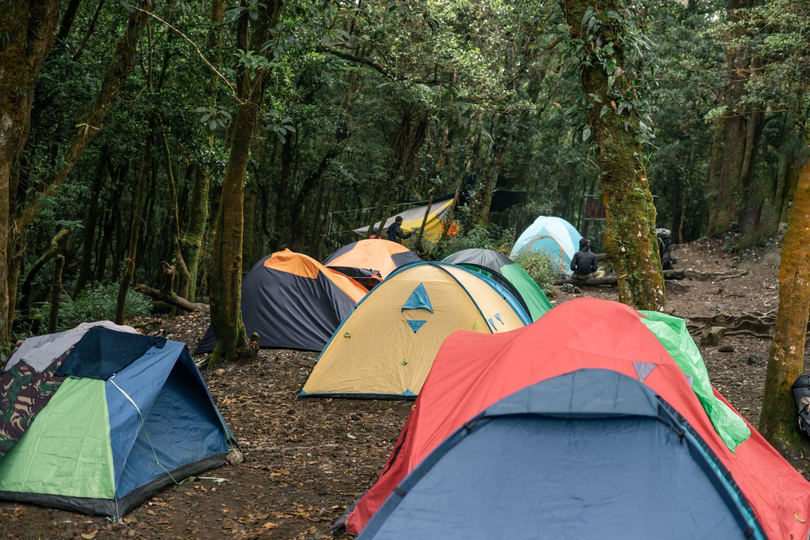 Common Causes of Tent Leaks